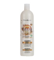 Champú efecto anti-frizz Provitamina B5 y aceites de Argán y Lino 
